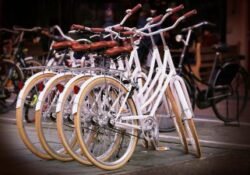 Fietsen op dinsdag