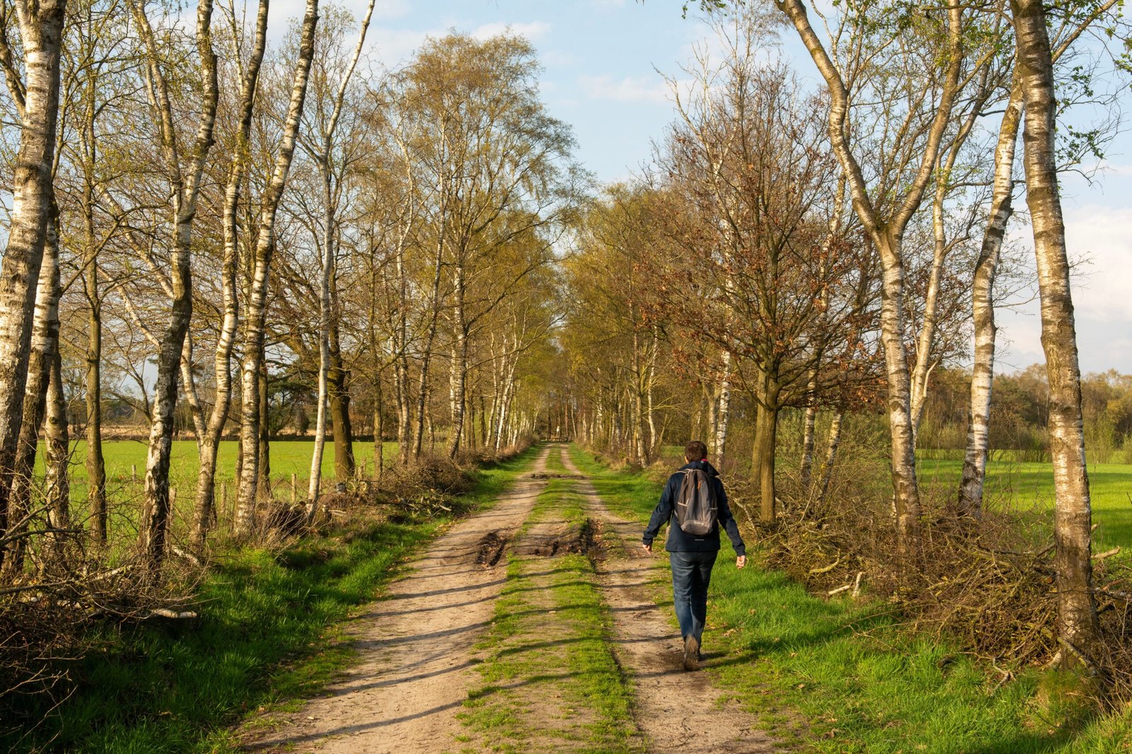 A young boy with a backpack walks down a scenic rural dirt road lined with trees on a sunny day.